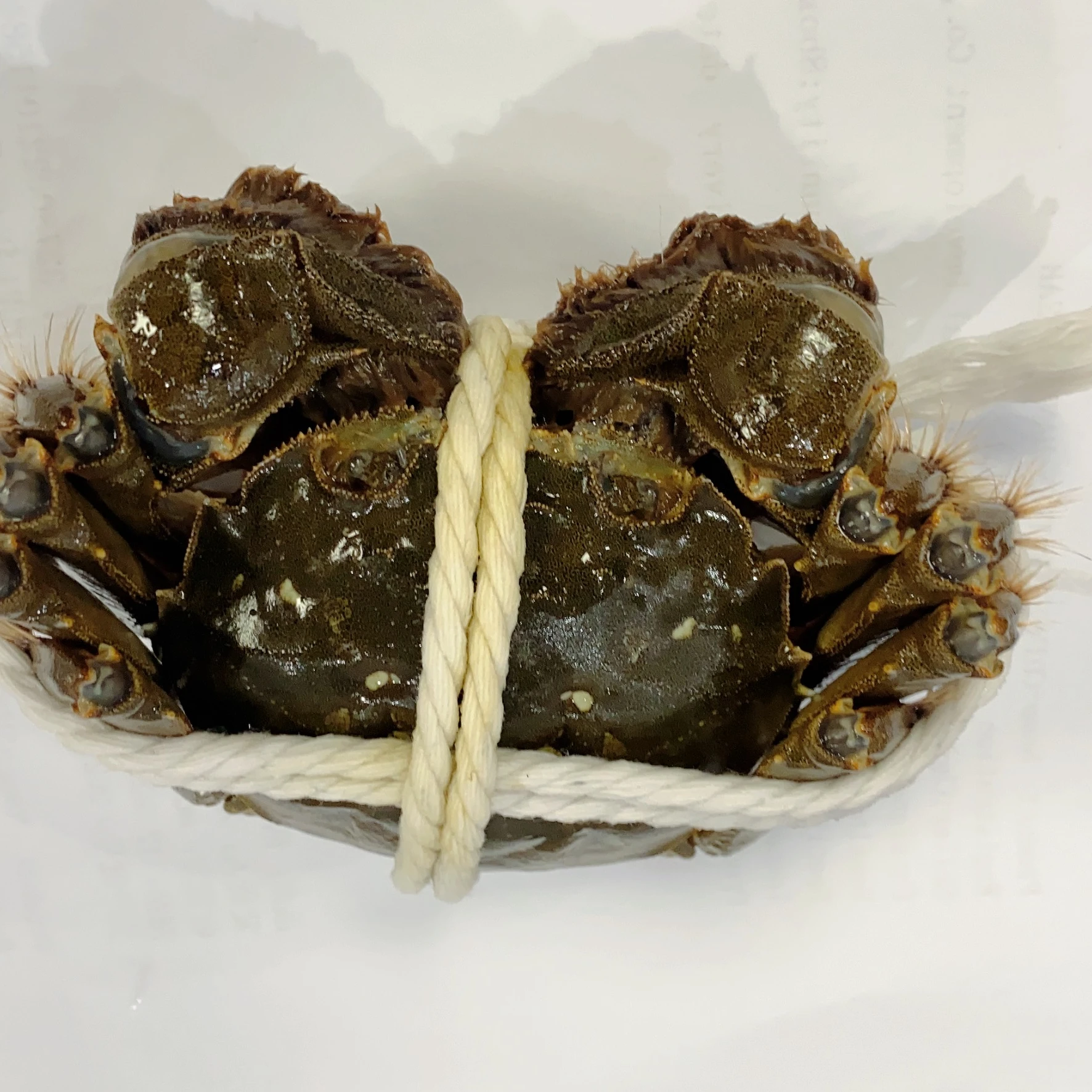 Legs King Style Crab Packaging Weight Shelf Muscle Origin Cutting Type Life Variety ISO Fresh Place Model HACCP Months HALAL