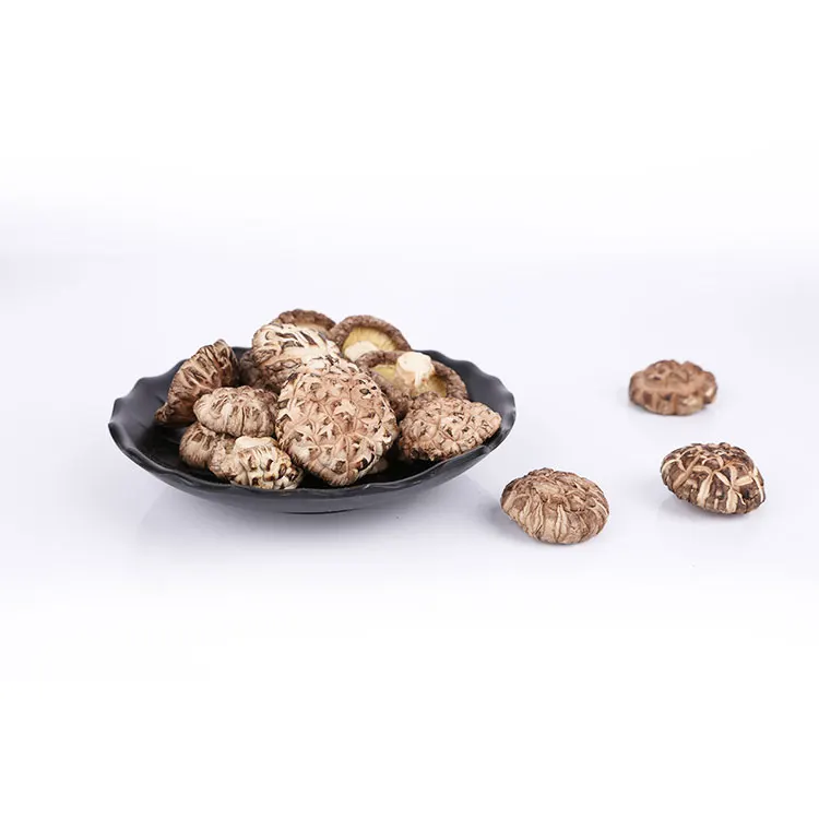 Green Food Top Quality Flower Mushroom Dried Shiitake bags