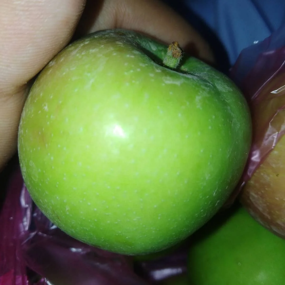 Quality Fresh Red Fuji Apple Fruit