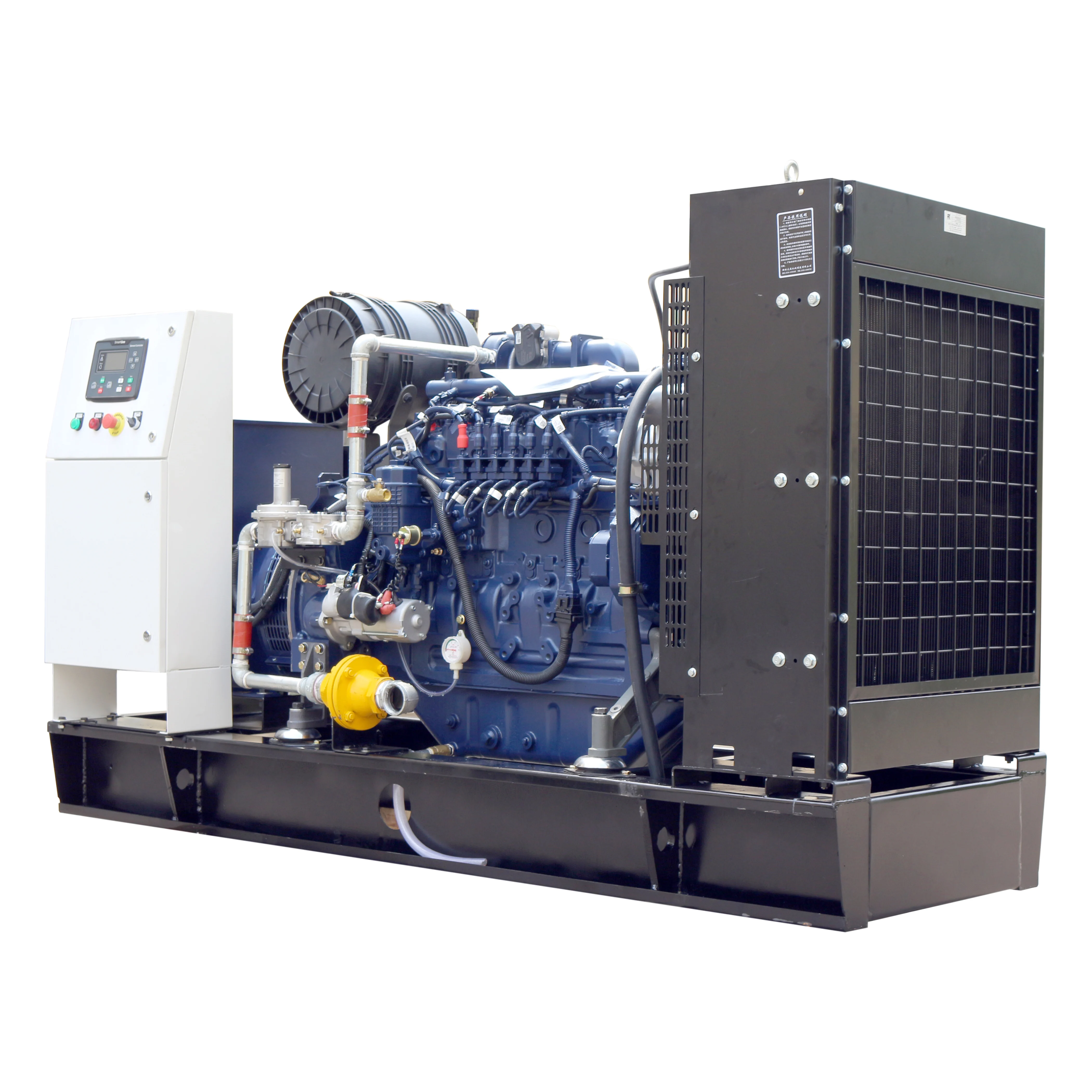  Хорошая цена! 10KW-1000KW природного газа компании 