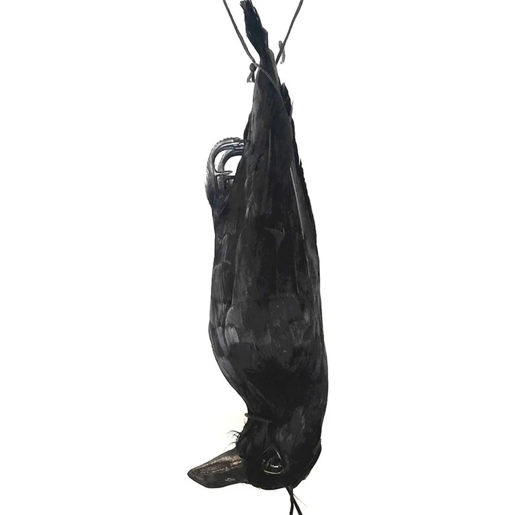 Artificial Bird Realistic Hanging Dead Crow Decoy Lifesize Extra Large Black Feathered Crow Garden Bird Plastic Tree Ornaments