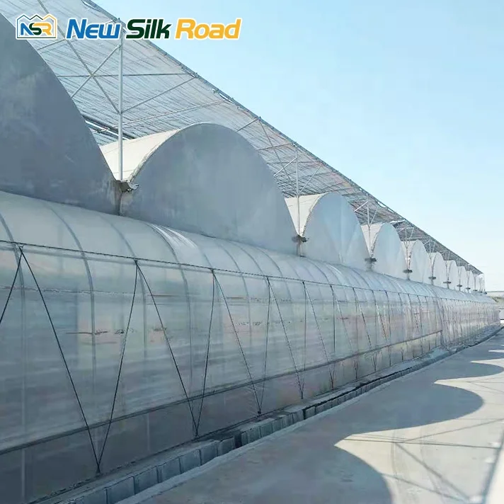 NSR Greenhouse Economic Plastic Agricultural Film Greenhouse issiqxona for Uzbekistan