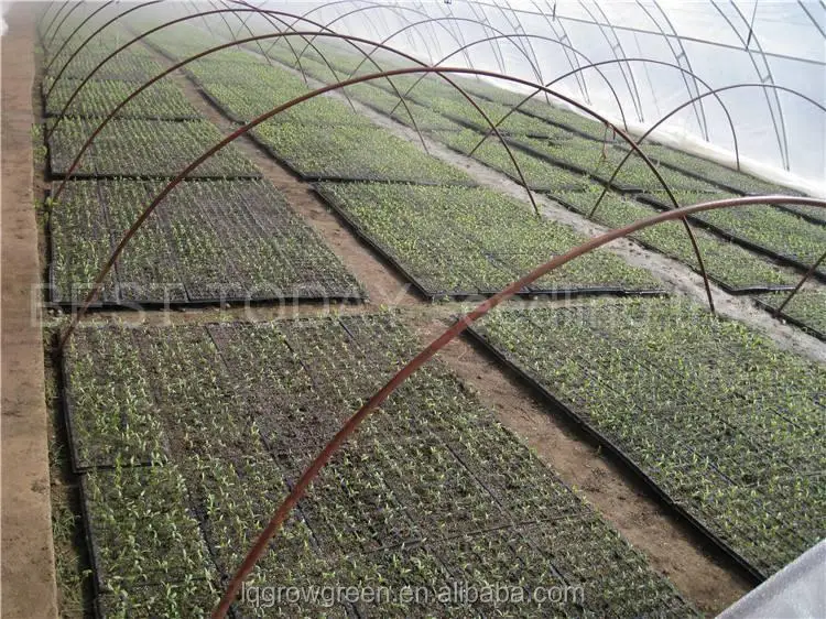 Deep cells high quality nursery tray tree planting