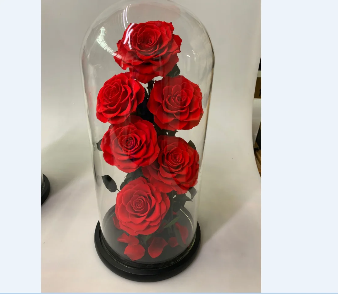 Large preserved flower rose in glass bottle and shell