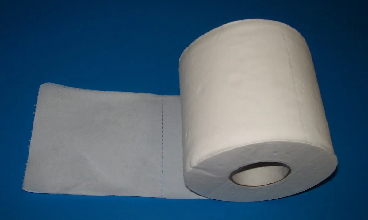 organic pure wood pulp toilet tissue Oem toilet paper import bathroom tissue to usa