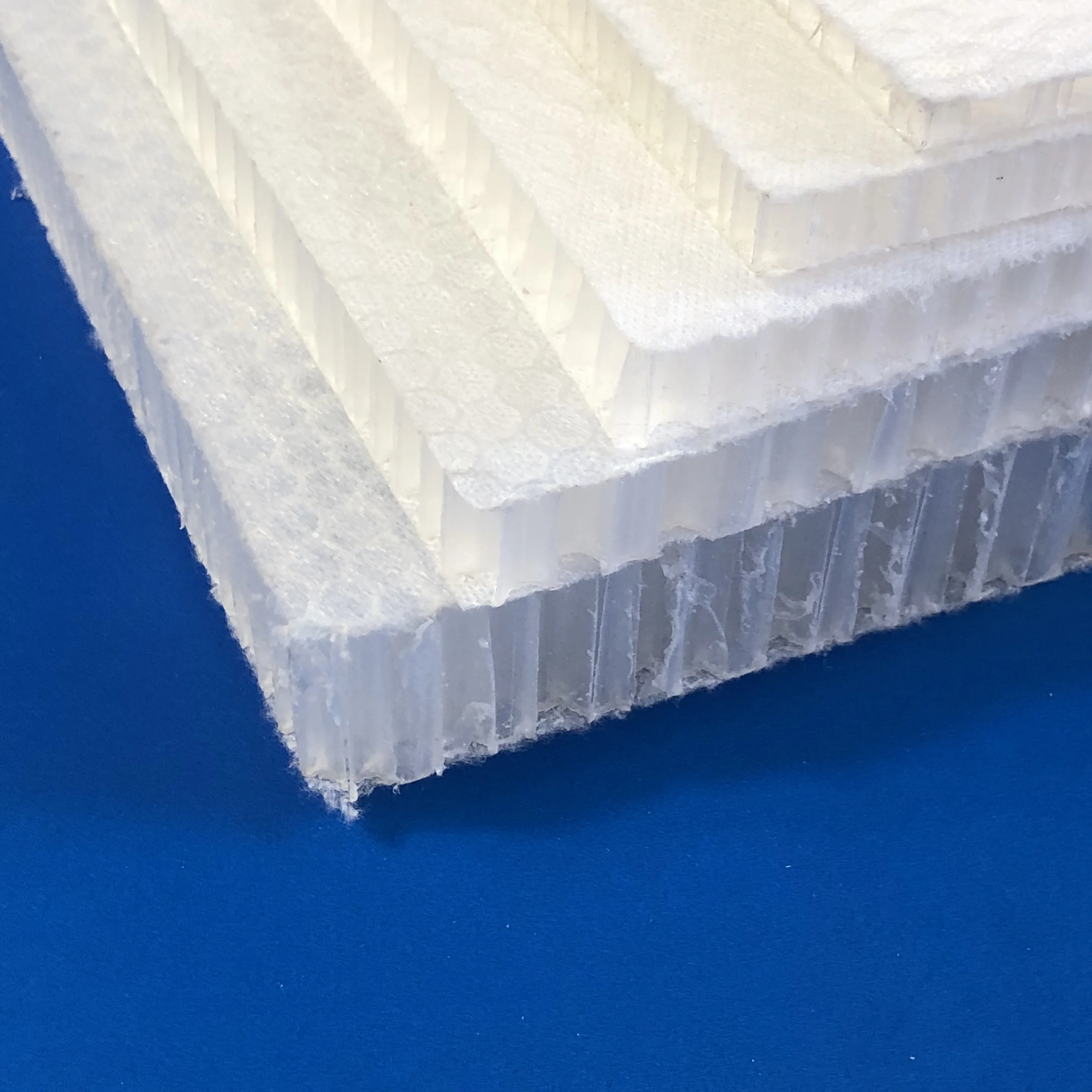 China waterproof polypropylene/pp/plastic honeycomb panel for wholesale