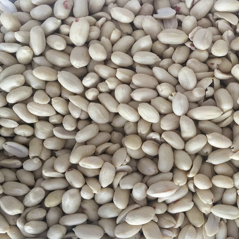 Wholesale price Raw roasted peanuts bulk wholesale blanched peanuts kernels Peeled peanut