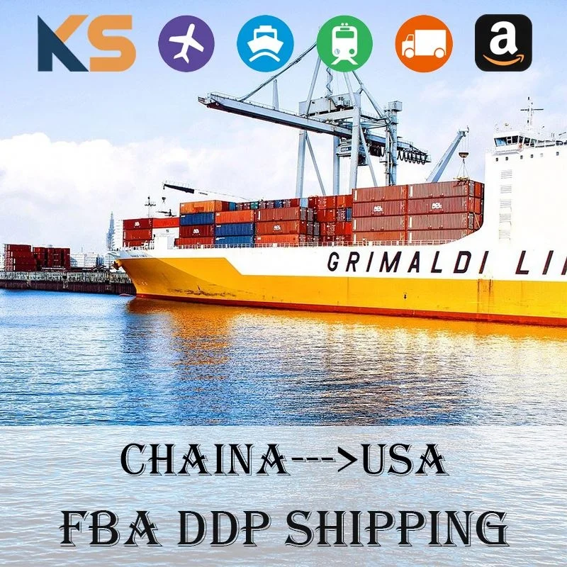 Freight Forward DHL UPS TNT Fedex Aramex Express Courier To USA UK Italy Germany Canada Australia Dubai France Netherlands