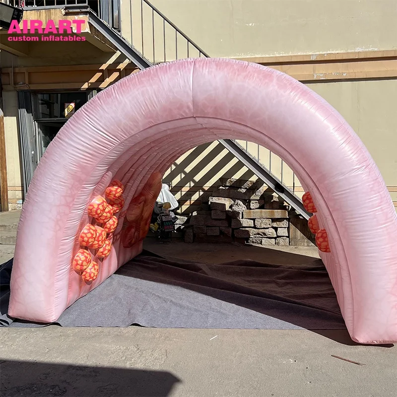 Гигантский надувной колоний индивидуальный органный туннель