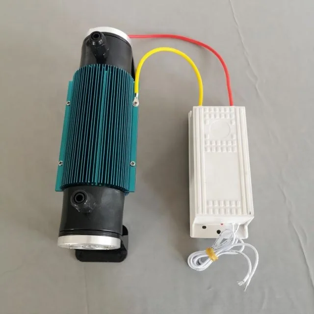 10g cell quartz tube ozone generator module for hotel and room odor remove