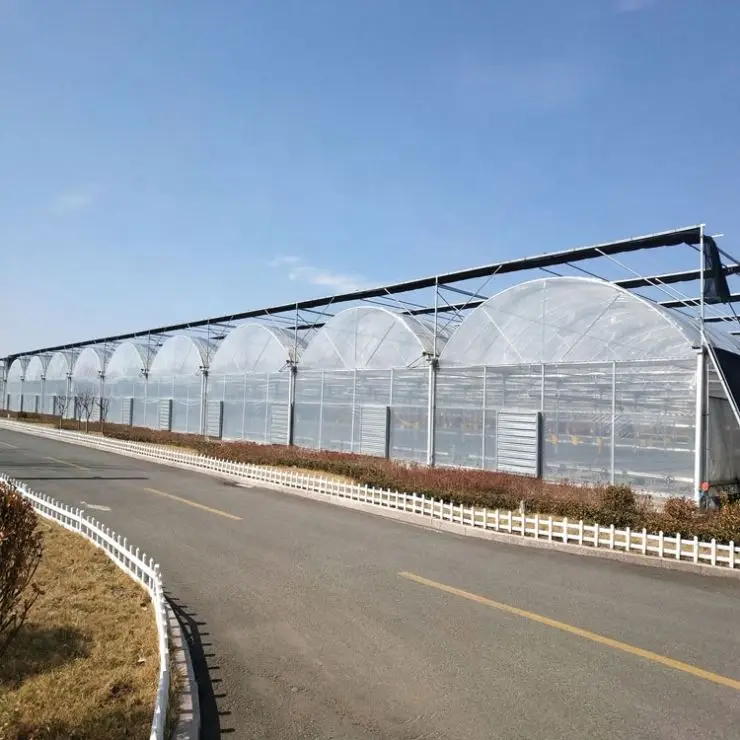 200 micron greenhouse film Pe Clear Plastic Film Roll/100% virgin LDPE greenhouse covering film for covering roof