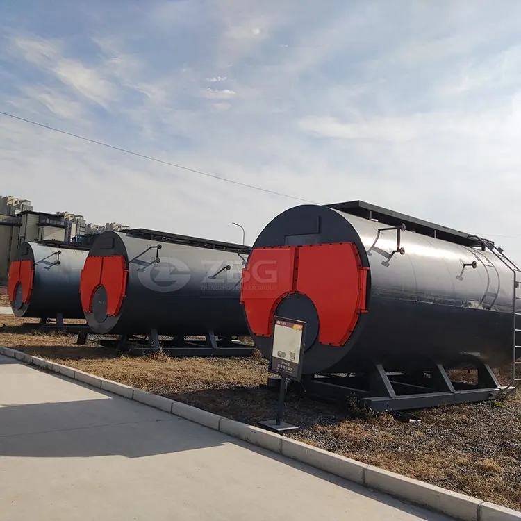 
Fuel and Gas Fired Steam Boiler 5 Ton/hr Price With 2 Burners 