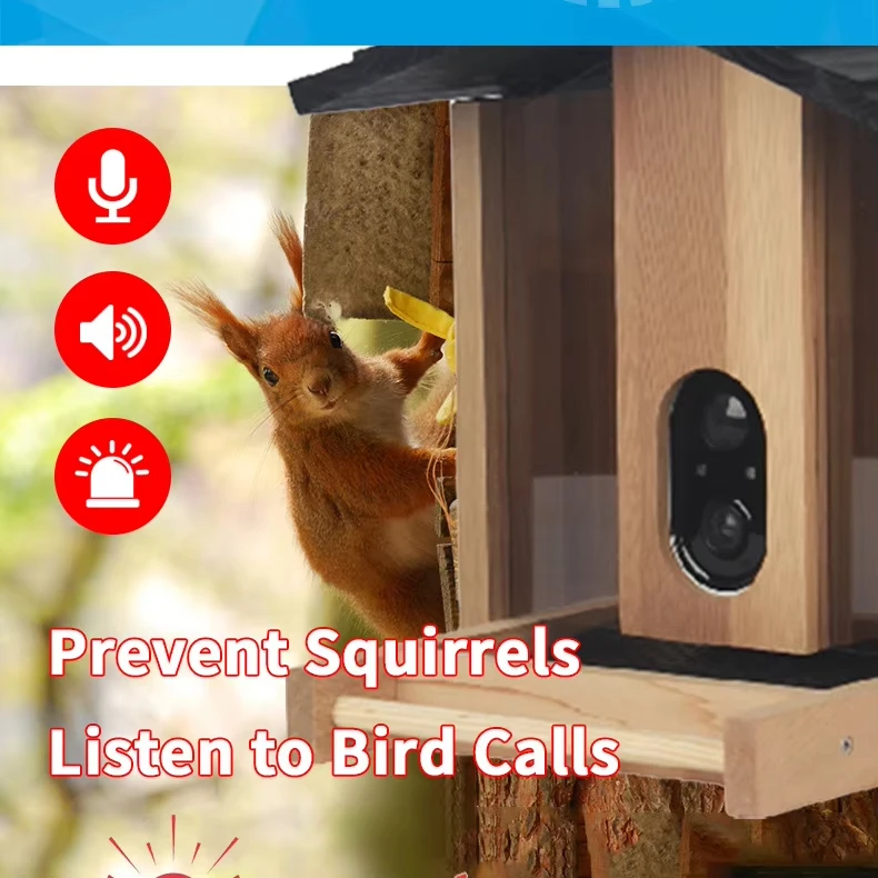 Solid Wood Visual Birdwatcher Smart Bird Feeder with Camera Automatic Bowl feeder for Food Plastic Material