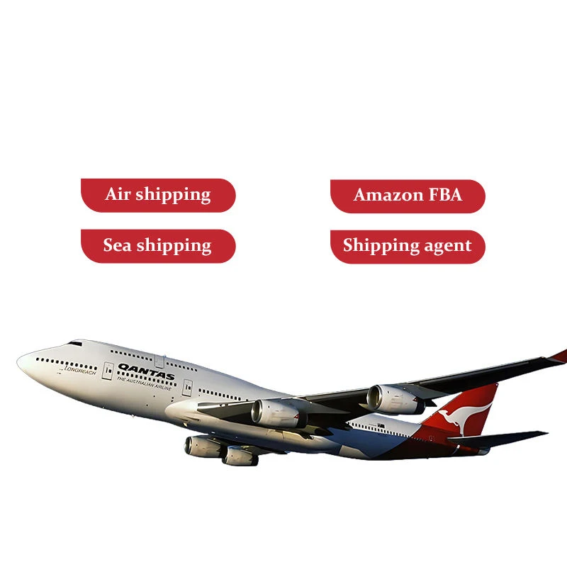 Professional /Cheapest Air Freight Fba/Dhl/Ups/Fedex/Tnt Freight Forwarder From China