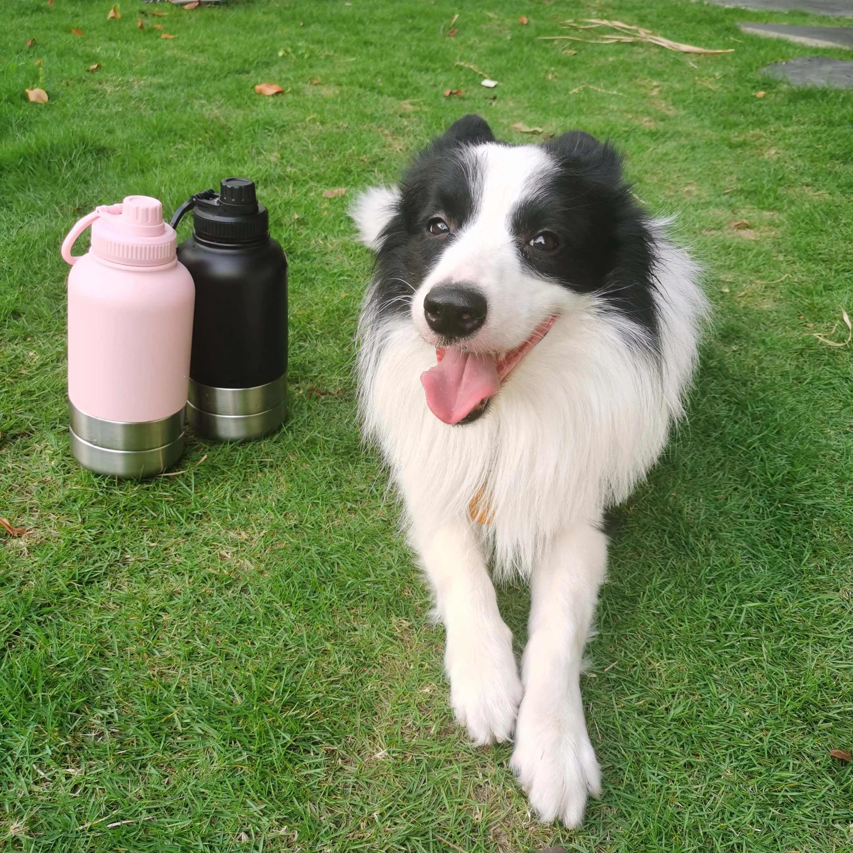 OKKPETS Custom Logo 32Oz Portable 3 in 1 Dog Water Bottle Pet Feeder Travel Bowl Insulated Dog Bottle