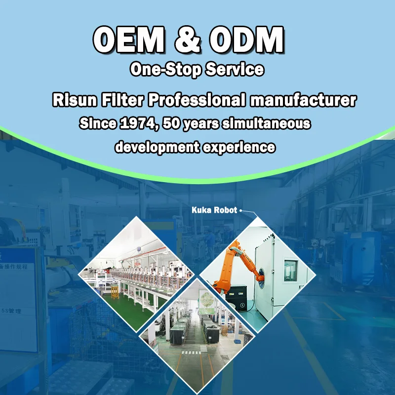 Risun OEM Manufacturer LF16031 Oil Filter Element Hydraulic Oil Filters