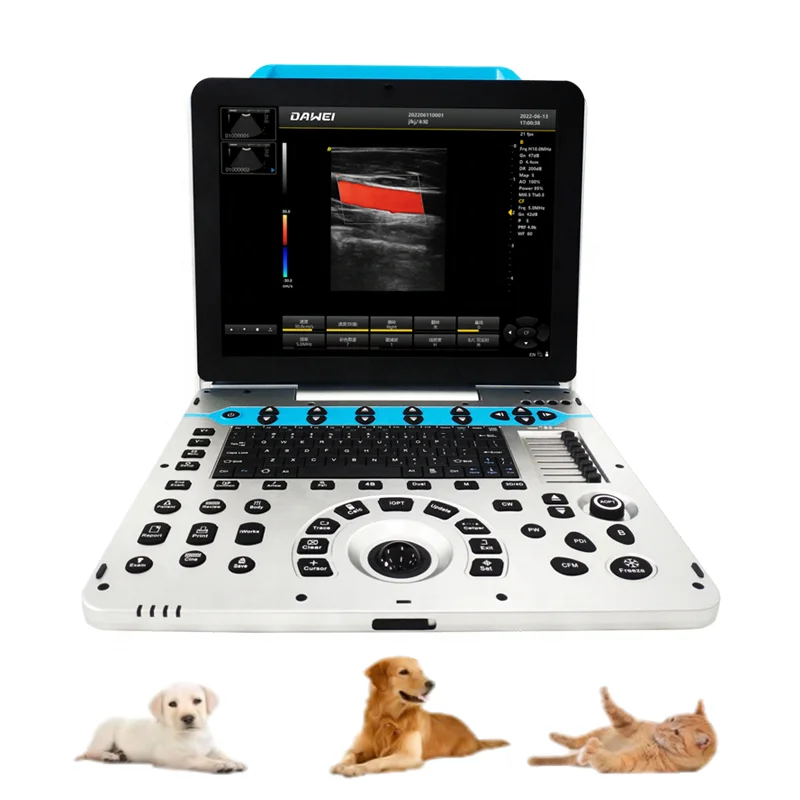 Dawei Portable Dog Ultrasound Machine Price Small Animal Diagnostic Ultrasound Veterinary