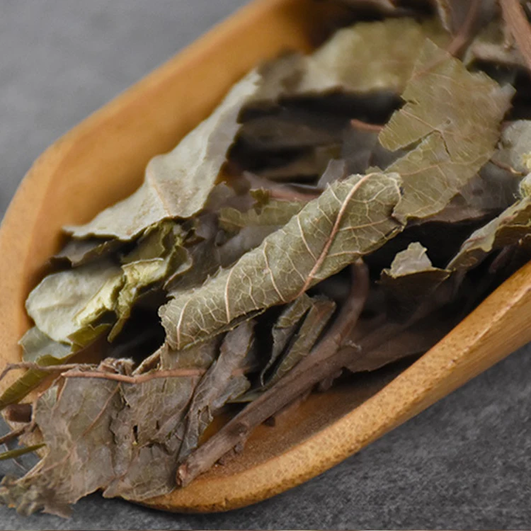 
100% Natural Herba Ardisiae Japonicae 