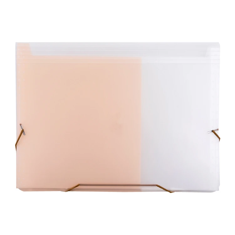 Cheap and high quality plastic pocket file folder notebook organizer document handbag folder