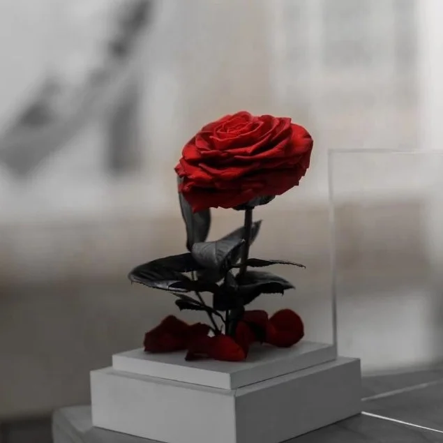 Factory price red roses gift summer flora wholesale forever red rose acrylic box flower send to a friend