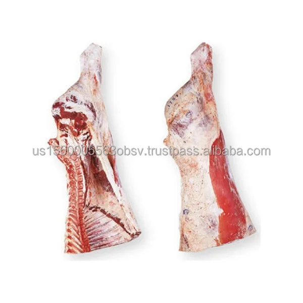 Frozen Lamb Forequarter Sale Event Prime Frozen Lamb Forequarter