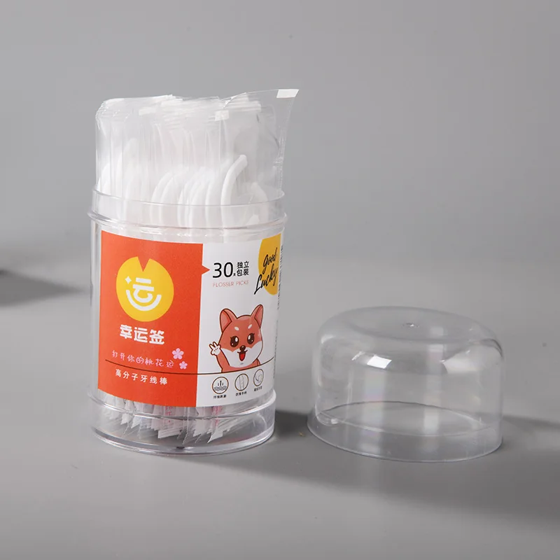 Private Label Eco Friendly Dental Flosser Toothpick Pick Plastic with 30pcs portable individual packaging OEM Customized