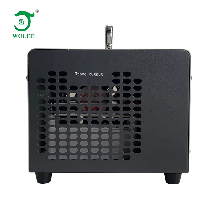 Hot selling best quality commercial portable 5g 10g 15g car ozone generator disinfection sterilizer machine