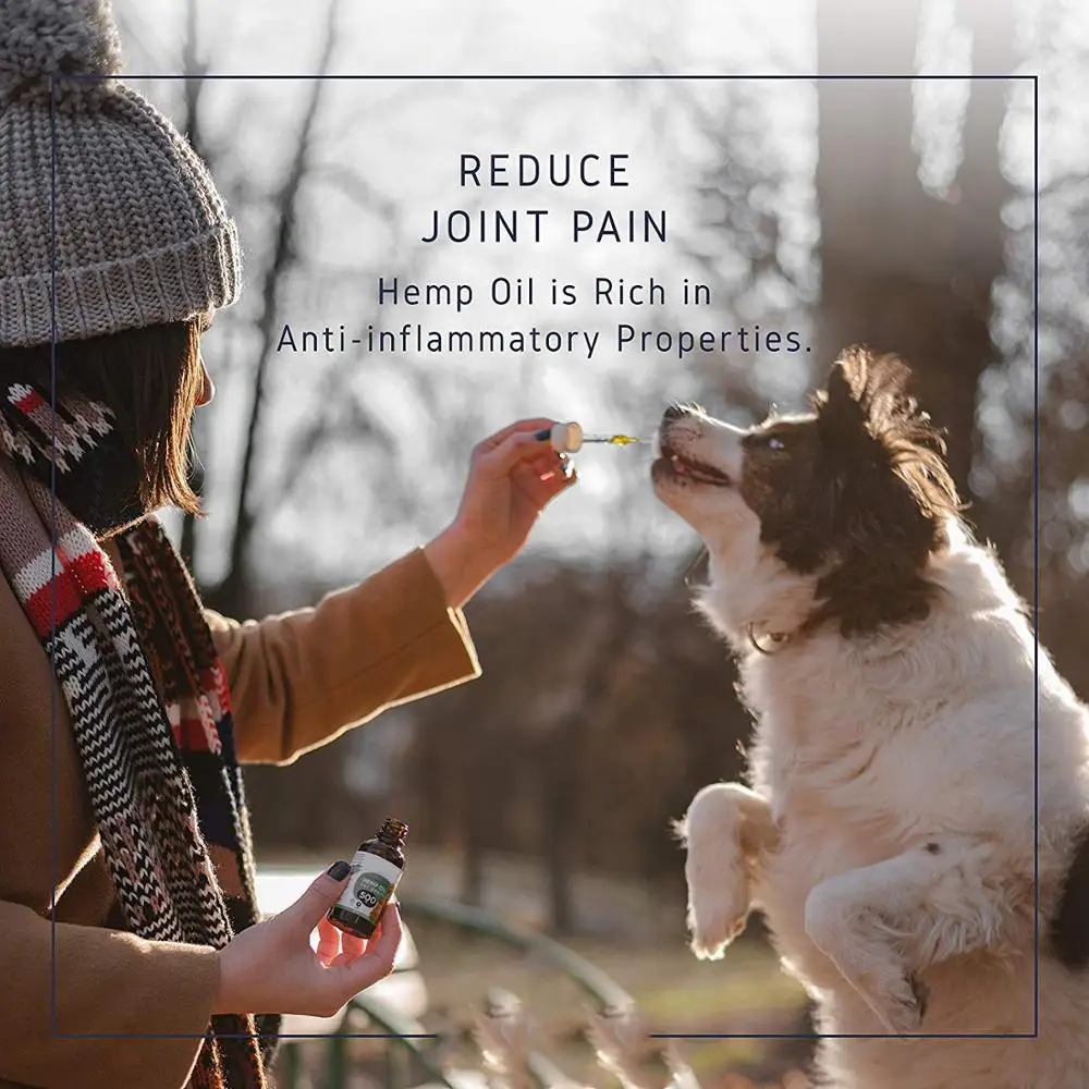 
2020 new style Hemp CBD Oil for Dogs for pet NO GMO Best Quality with Best price 