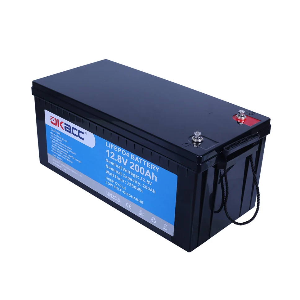 Customization Rechargeable Phosphate Batterie Lithium-Ion 12 V Lithium Ion Batteries 200Ah 12V