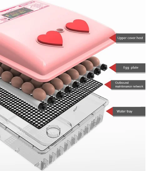 Chicken Egg Incubator Hatching Machine Full Automatic 12 Volt Egg Incubator Incubator Plastic Egg Trays