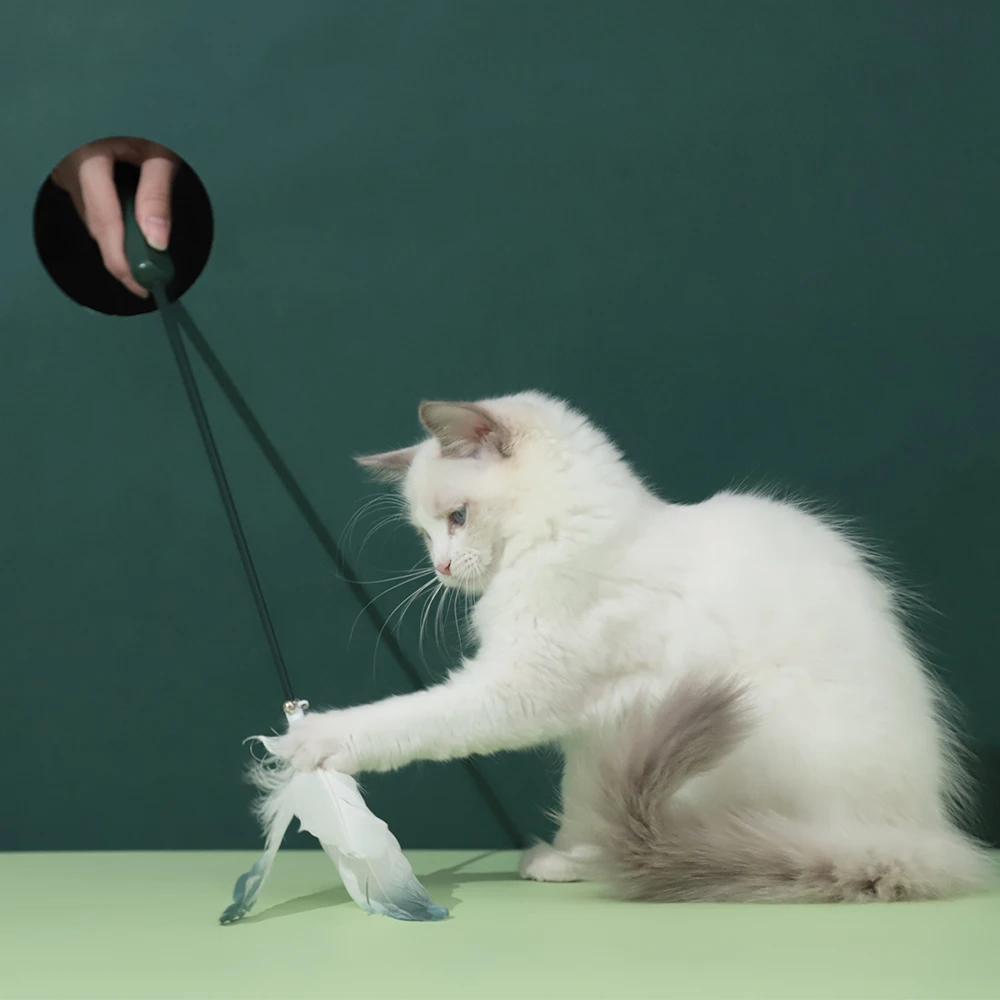2021 Newest Hoopet Feather Infrared Light Laser Cat Teaser Stick