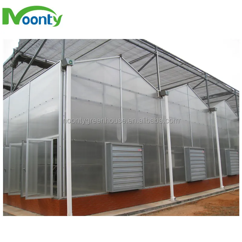 PC Greenhouse for farm vegetable growing