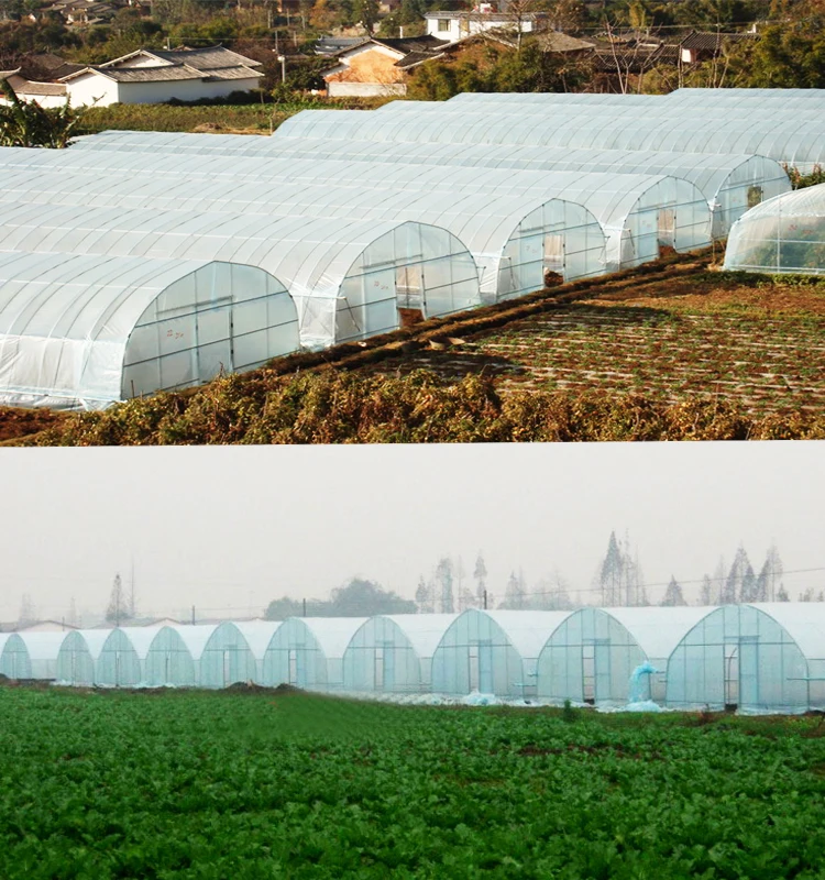 Factory Price Custom Size Tunnel plastic greenhouse for  sale