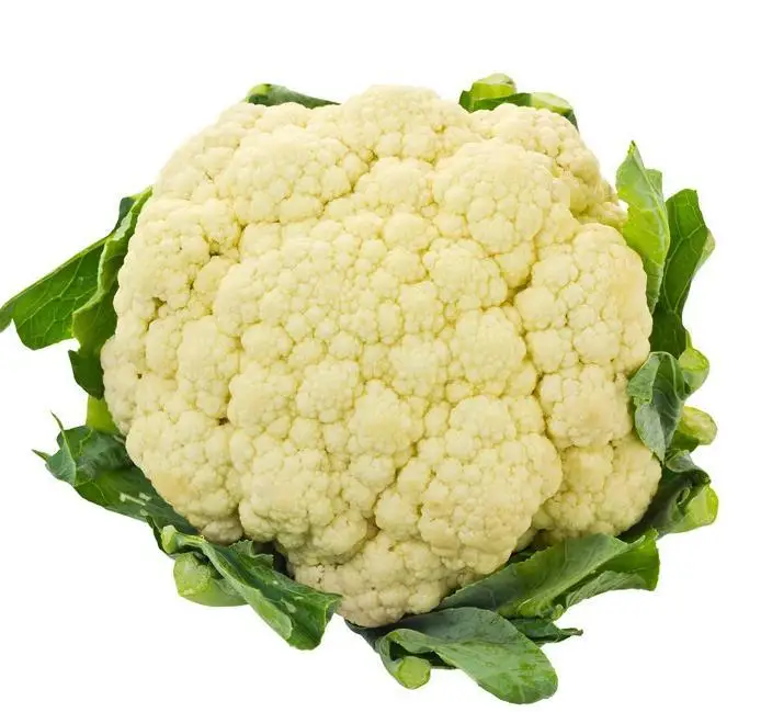 New varieties of factory direct sales big flower nutrition delicious cauliflower, looking forward to your purchase