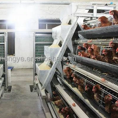 Оборудование для птицеводства аккумуляторные клетки курятник-Несушка дизайнерский слой китайский двигатель автоматическая стальная проволока
