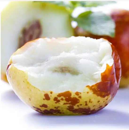 
Big size sweet juicy winter jujube wholesale price 