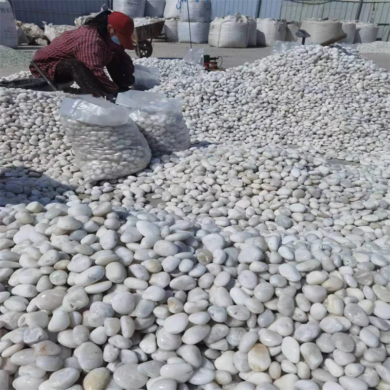 Competitive Supply Natural Decorative Mixed High Polished Pebbles
