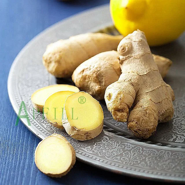 China Fresh king of Ginger 150g/250g up 5kg/10kg/30LBS PVC Box sinofarm Ginger wholesale price per ton for importers of ginger