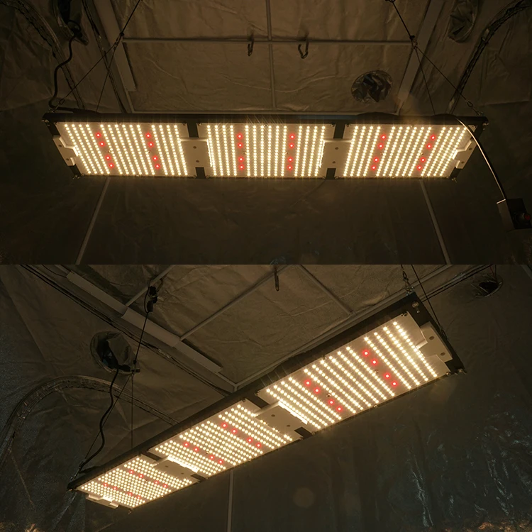 
320W Led Grow Light 3000K 3500K CREE XP-G3 660nm lm301h for led grow light 