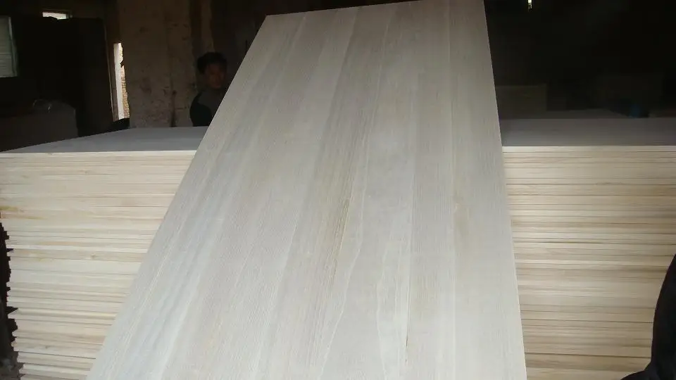 paulownia tree price