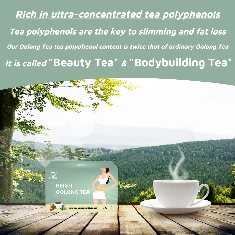 OEM Ganoherb 100% Organic Ganoderma Lucidum Reishi Lingzhi Chinese Oolong Slim Healthy Tea for Losing Weight