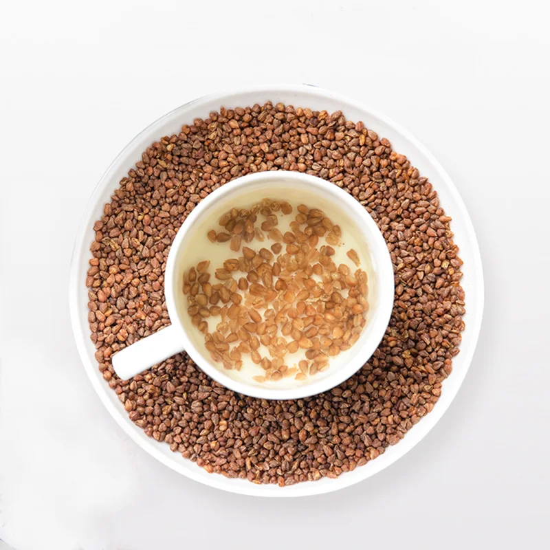 factory wholesaler Sanjiang 100% in bulk orignal barley tea Chinese whole-embryo tartary buckwhea tea