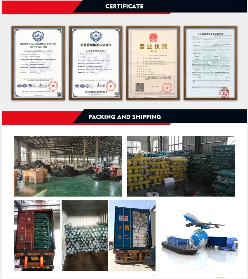 paste-pic-dp_uuid_ar61t