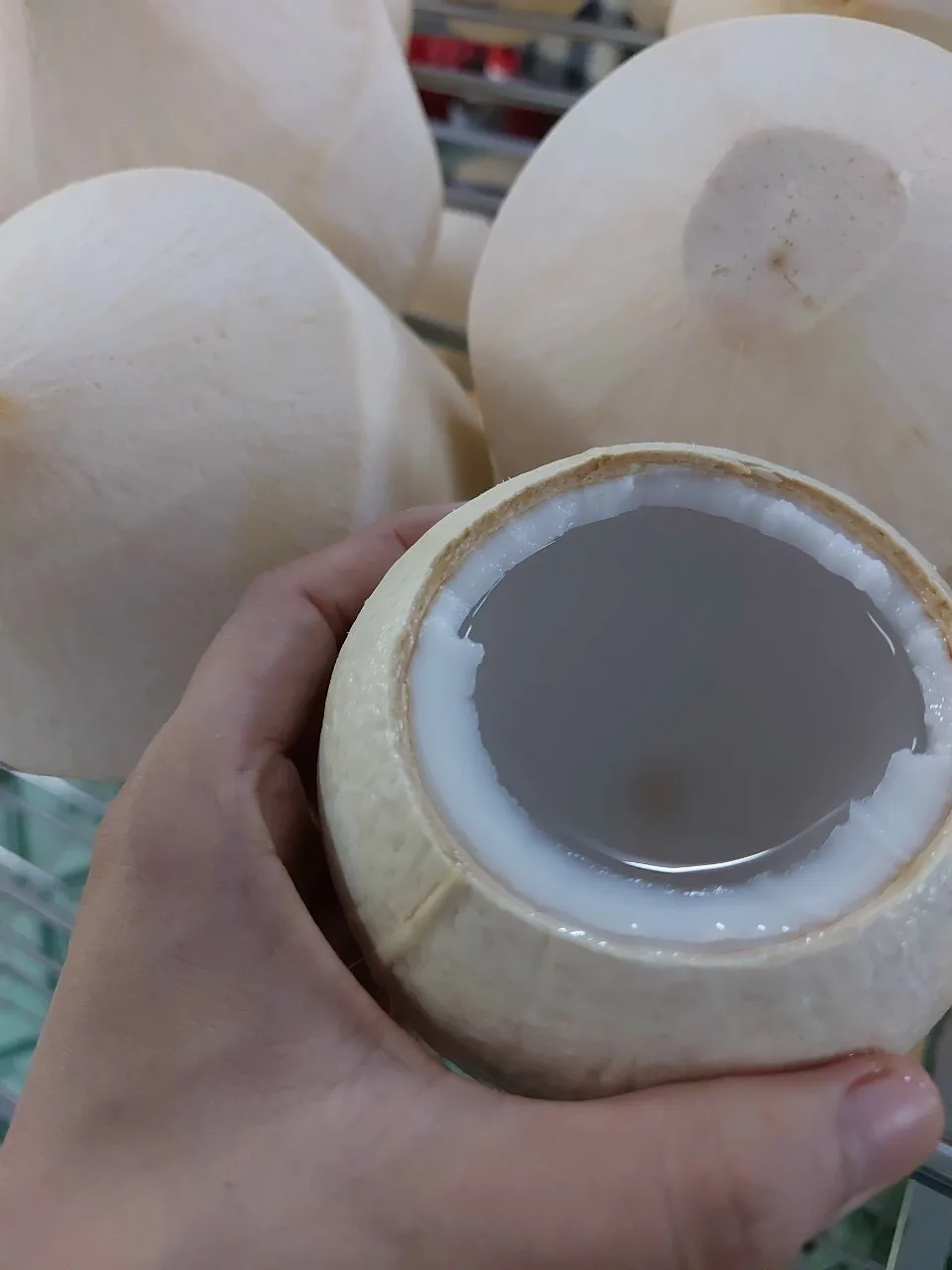 Высококачественный свежий кокос с картонной упаковкой помогает улучшить вашу кожу экспорт из Вьетнама