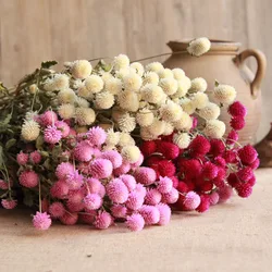 Yunnna Cheap Real Wedding Dried Flower Bouquet Dried  globe amaranth Flower Gomphrena Globosa