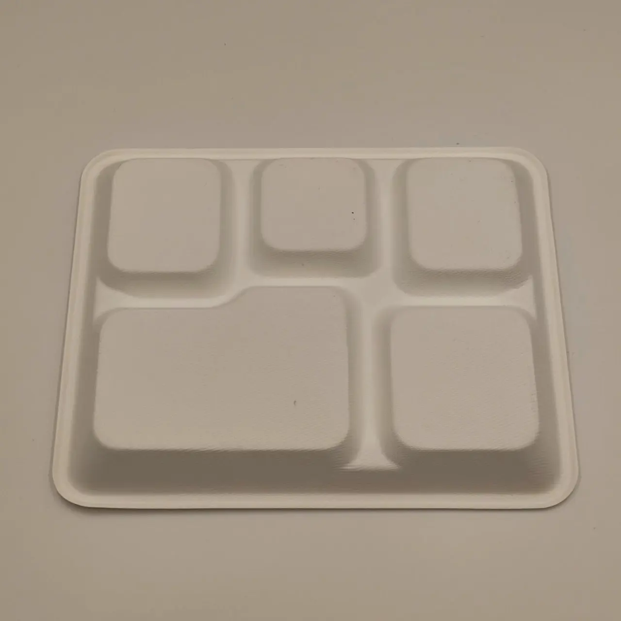 Disposable Food Tray with 5 Compartments Eco-Friendly Sugarcane Pulp Biodegradable Disposable Plates