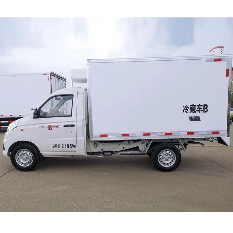 Foton 3ton Морозильная камера Холодильник коробка грузовики для продажи в
