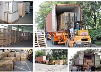 SANDI Inverter 700W 1000W 12V/24VDC Power Supply Off Grid Pure Sine Wave MPPT Solar Inverters