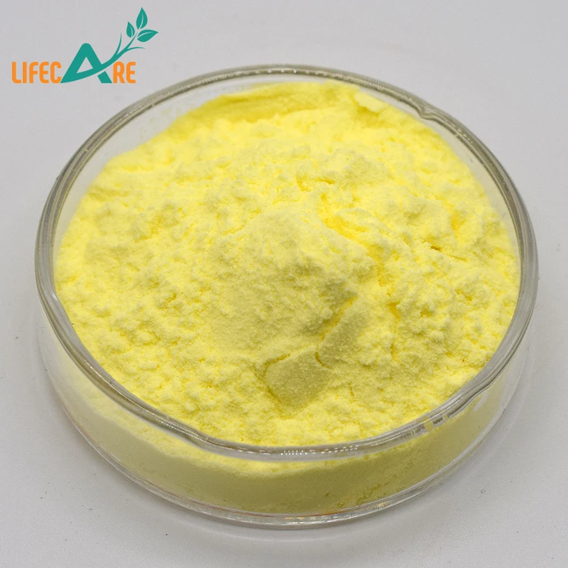 Best Price Quercetin Powder 98% High Quality Bulk Quercetin Extract