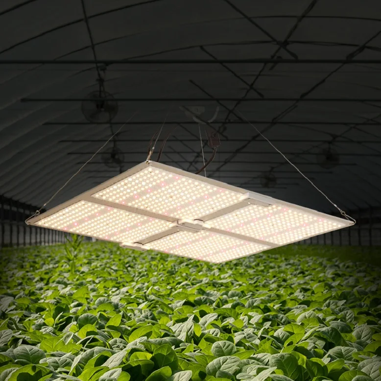 100Watt 200 Watt 400Watt Plate Led Grow Light Board Commercial Grow Lamp